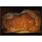 thumbnail Bison de la grotte de Fond de Gaume - Atelier Arc&Os - Alain Dalis - Montignac Lascaux