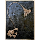 thumbnail Encrinum seirocrinus from Holzmaden/Württemberg - Exact replica - 180 million years old - Toarcian slate - The encrinum is called 